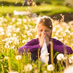 Allergia ai pollini: consigli sulla prevenzione