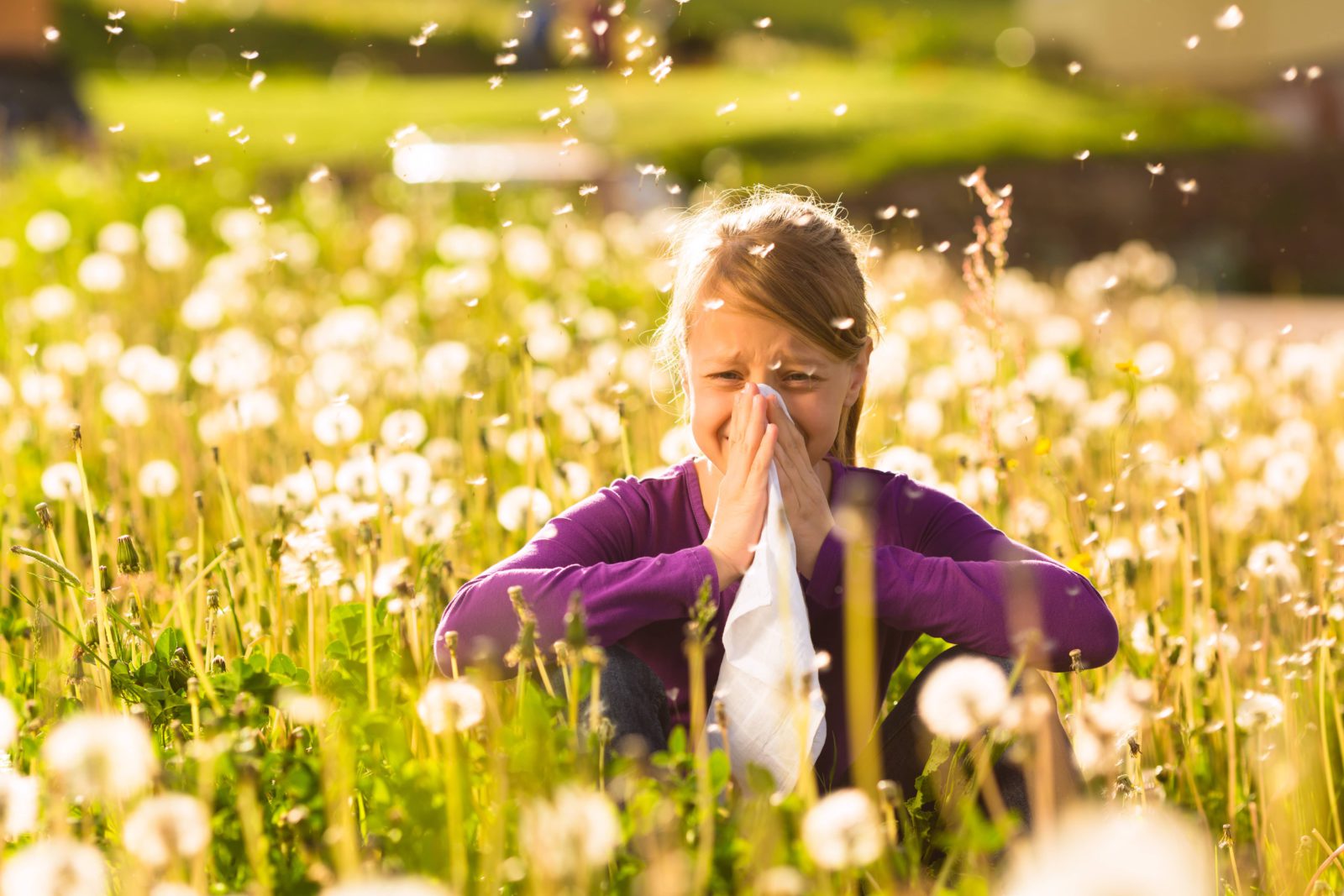 Allergia ai pollini: consigli sulla prevenzione - Farmacia Brembate